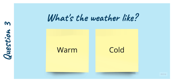 Shopify-Quiz-Mapping-Tip-consolidate-answers-example-3